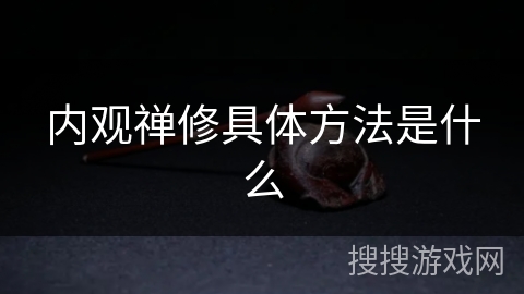 内观禅修具体方法是什么