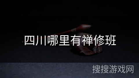 四川哪里有禅修班