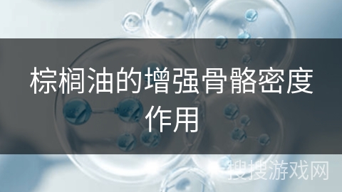 棕榈油的增强骨骼密度作用