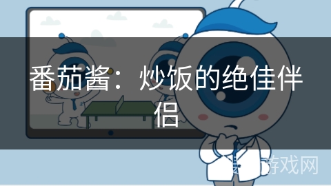 番茄酱：炒饭的绝佳伴侣