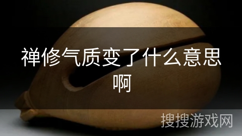 禅修气质变了什么意思啊 禅修气质变了什么意思啊