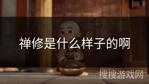 禅修是什么样子的啊