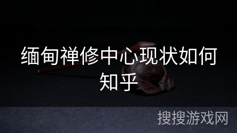 缅甸禅修中心现状如何知乎