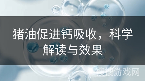 猪油促进钙吸收，科学解读与效果