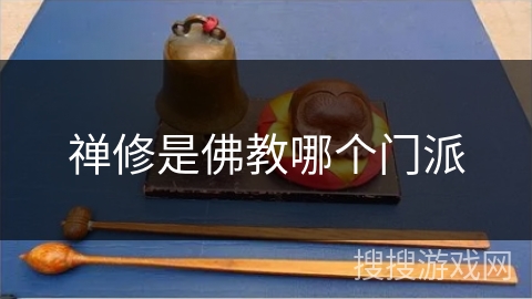 禅修是佛教哪个门派