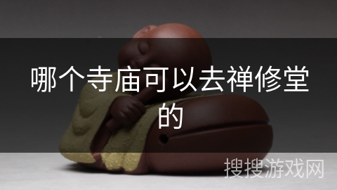 哪个寺庙可以去禅修堂的