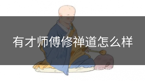 有才师傅修禅道怎么样