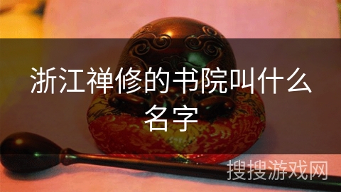 浙江禅修的书院叫什么名字