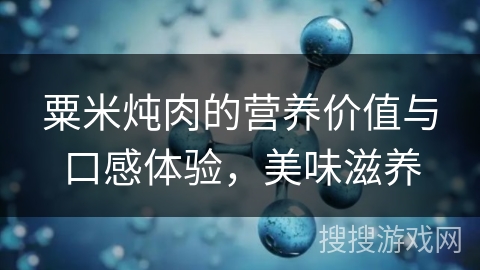 粟米炖肉的营养价值与口感体验,美味滋养