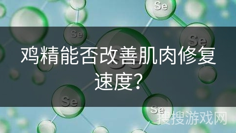 鸡精能否改善肌肉修复速度？