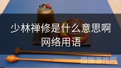 少林禅修是什么意思啊网络用语