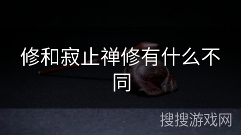 修和寂止禅修有什么不同