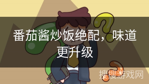 番茄酱炒饭绝配，味道更升级