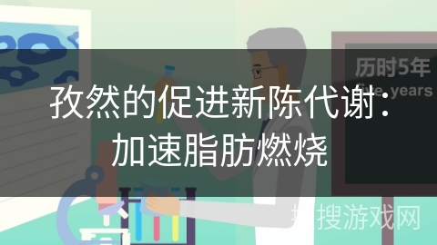 孜然的促进新陈代谢：加速脂肪燃烧