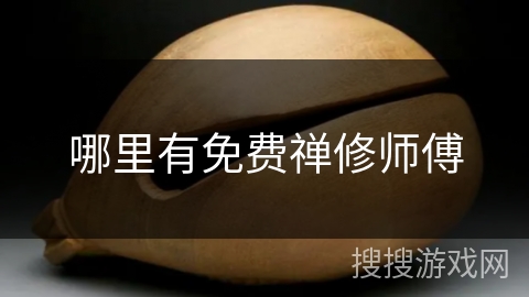 哪里有免费禅修师傅