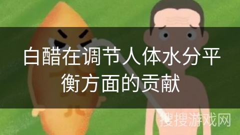 白醋在调节人体水分平衡方面的贡献