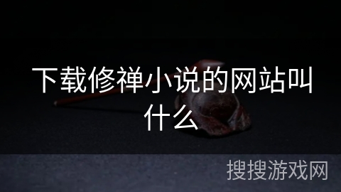 下载修禅小说的网站叫什么