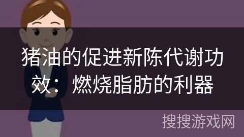 猪油的促进新陈代谢功效：燃烧脂肪的利器