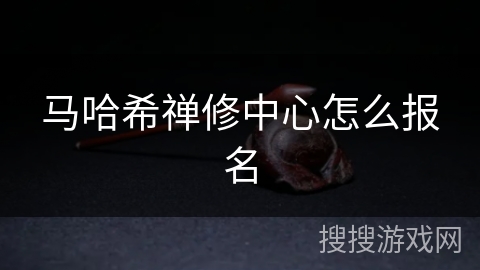 马哈希禅修中心怎么报名