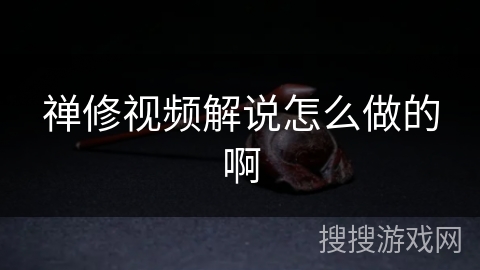 禅修视频解说怎么做的啊