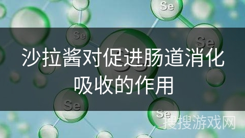 沙拉酱对促进肠道消化吸收的作用