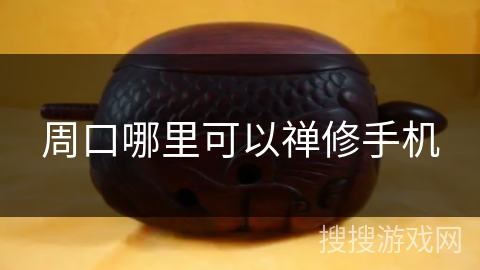 周口哪里可以禅修手机