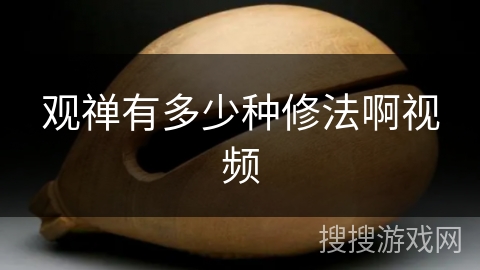 观禅有多少种修法啊视频