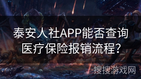 泰安人社APP能否查询医疗保险报销流程？