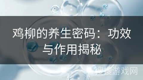 鸡柳的养生密码：功效与作用揭秘