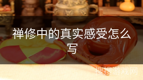 禅修中的真实感受怎么写