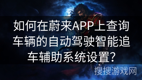 如何在蔚来APP上查询车辆的自动驾驶智能追车辅助系统设置？