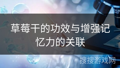 草莓干的功效与增强记忆力的关联