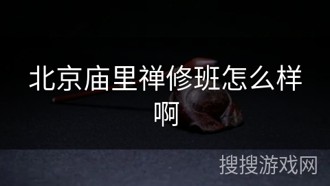 北京庙里禅修班怎么样啊 北京庙里禅修班怎么样啊