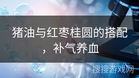 猪油与红枣桂圆的搭配，补气养血