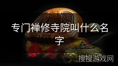 专门禅修寺院叫什么名字