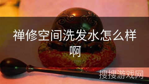 禅修空间洗发水怎么样啊 禅修空间洗发水怎么样啊