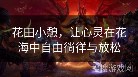 花田小憩，让心灵在花海中自由徜徉与放松