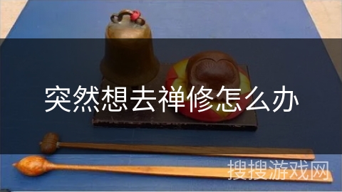 突然想去禅修怎么办