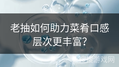 老抽如何助力菜肴口感层次更丰富？