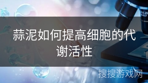 蒜泥如何提高细胞的代谢活性