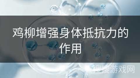 鸡柳增强身体抵抗力的作用