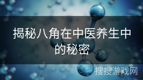 揭秘八角在中医养生中的秘密