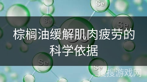 棕榈油缓解肌肉疲劳的科学依据
