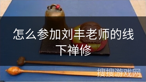 怎么参加刘丰老师的线下禅修