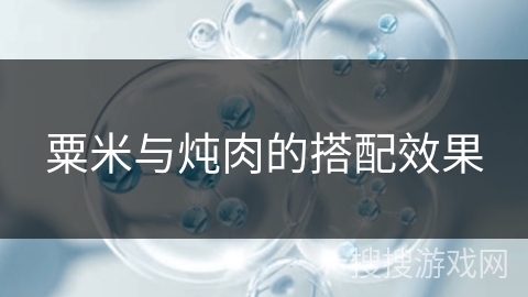 粟米与炖肉的搭配效果