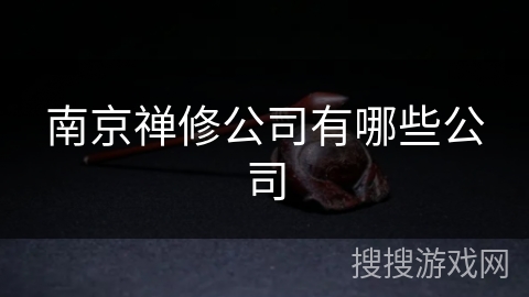 南京禅修公司有哪些公司