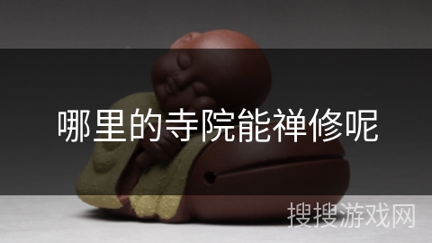 哪里的寺院能禅修呢