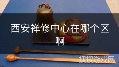 西安禅修中心在哪个区啊