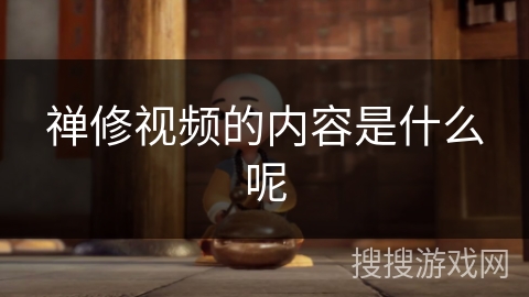 禅修视频的内容是什么呢