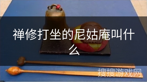 禅修打坐的尼姑庵叫什么